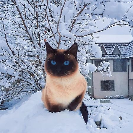 Inaisi Hotel クタイシ エクステリア 写真