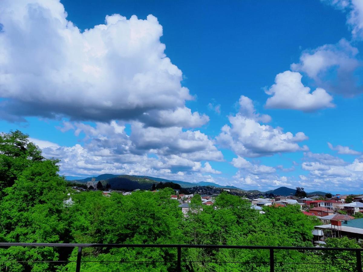 Inaisi Hotel クタイシ エクステリア 写真