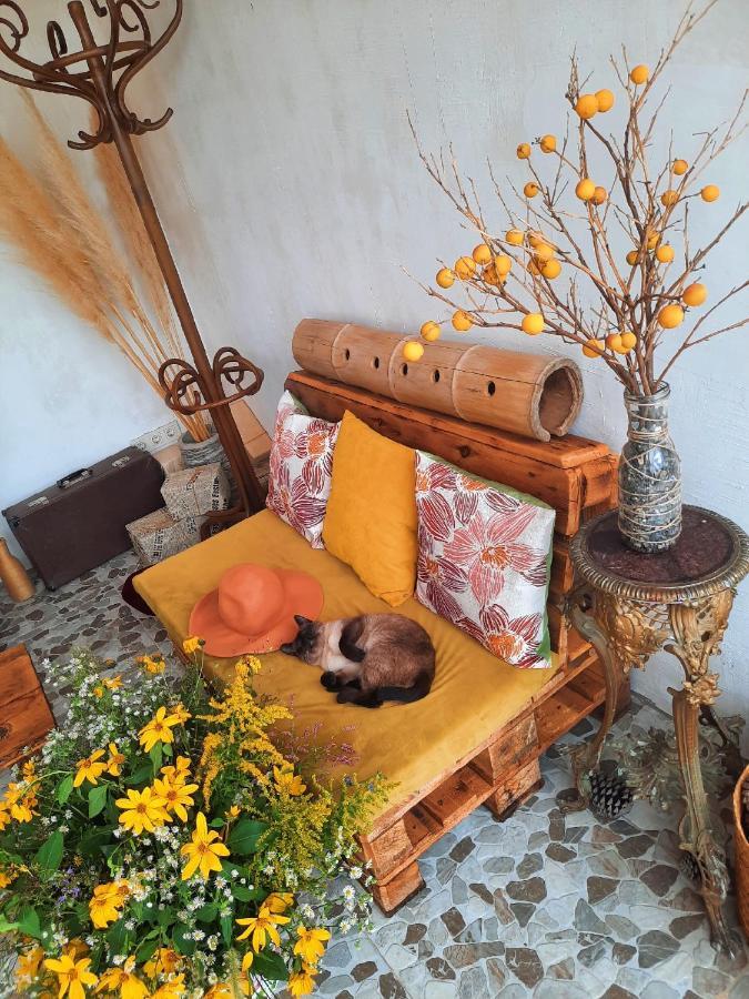 Inaisi Hotel クタイシ エクステリア 写真