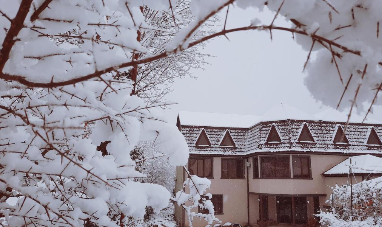 Inaisi Hotel クタイシ エクステリア 写真
